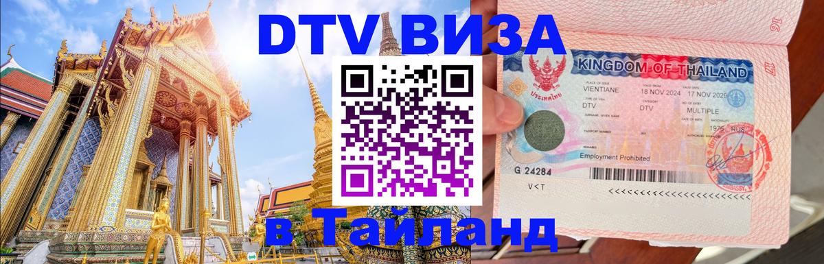 Сколько стоит DTV виза — актуальные цены, оформление даже без документов - 09.01.2026 